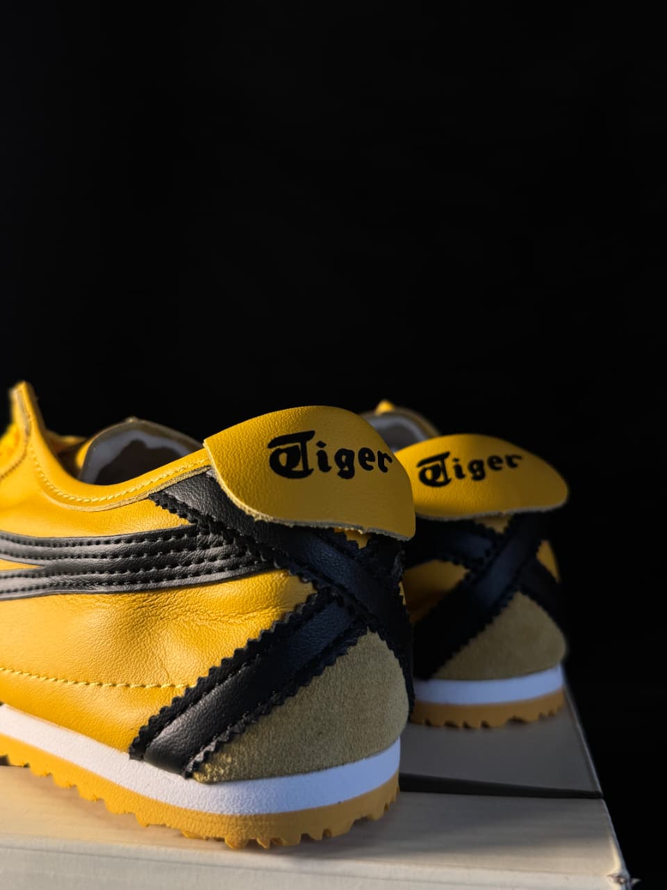 Tiger mexico 66